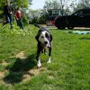 DSCF0542